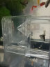 派乐特 鱼缸孵化盒孔雀鱼繁殖盒斗鱼亚克力隔离盒 孵化盒小号 实拍图