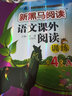 新黑馬閱讀 語文課外閱讀訓(xùn)練小學(xué)四年級A版 小學(xué)語文課外閱讀理解專項強化訓(xùn)練閱讀理解答題模板技巧練習(xí)冊必刷題  語文課外閱讀理解 曬單實拍圖