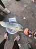 達(dá)億瓦（DAIWA）23新款 BG SW 海釣紡車輪遠(yuǎn)投路亞輪船釣鐵板魚線輪 5000D-CXH（深線杯+高高速比 曬單實(shí)拍圖