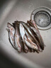 捕漁笙微山湖小白條魚(yú)新鮮活魚(yú)凈膛餐條魚(yú)白條子刁子魚(yú)翹嘴魚(yú)雜魚(yú)小河魚(yú) 10厘米左右中小混合（30條左右） 1斤（宰殺后損耗百分之15） 曬單實(shí)拍圖
