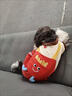 MIKI PAD狗狗衣服小型犬春秋款貓咪衣服四腳衣可牽引小狗衣服泰迪比熊 薯條背帶褲 M背長30cm（參考體重5-8斤） 曬單實拍圖