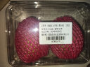 京鲜生 海南红心芭乐 番石榴 2粒装  单果约150g起  水果 实拍图