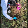 李寧童裝兒童衛(wèi)衣女大童春秋款巾幗小花圖案寬松百搭上衣 壞小紫90-4 150 曬單實(shí)拍圖