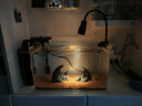 YEE鱼缸金晶超白鱼缸客厅桌面小鱼缸玻璃草缸龟缸家用小型生态金鱼缸 400*230*250【标准套餐】 实拍图