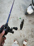 釣迷（fishingfans）蘭溪雷強路亞竿富士o環(huán)XH輕重雷槍柄水滴輪套裝打黑魚(yú)錨魚(yú)遠投桿 2.13米 蘭溪C702H輕雷槍柄單竿 曬單實(shí)拍圖