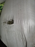 奕瀾白色編織袋防水加厚蛇皮袋搬家打包袋裝糧食袋子60*102cm加厚（100條）YL2112-5 曬單實(shí)拍圖
