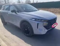 屹揚（EYOUNG）啟辰大V補漆筆哇塞灰色自噴漆非常白汽車(chē)漆劃痕修復專(zhuān)用紅色黑色 大V【哇塞灰】送補土+工具 曬單實(shí)拍圖
