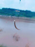 佳钓尼（JIADIAONI） 1.25米新款台钓竿包鱼包渔具包竿桶手竿钓鱼包超轻硬壳包 1.25米渔具包-蓝色 实拍图