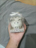 右客存錢(qián)罐ins高顏值卡通可愛(ài)存錢(qián)罐迷你小豬陶瓷儲蓄罐家居擺件禮物 白色小豬存錢(qián)罐1個(gè)裝 曬單實(shí)拍圖