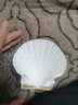 藍海精靈天然超大貝殼 獅爪貝 白色大貝殼地中海風(fēng)格酒吧柜臺裝飾道具魚(yú)缸 凹型 白色大扇貝8-10cm 曬單實(shí)拍圖