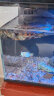 米家（MIJIA）小米米家智能生态鱼缸半年免换水专业级背滤系统全色域灯光补仓一次三月无忧出差旅行必备 实拍图