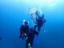 都格（Duge） （顺丰秒发）潜水装备全套 水下专业呼吸器潜水用品套装潜水碳纤维气瓶成人专业水肺深潜 6L气瓶 实拍图