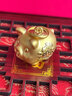 LPEZ老鳳凰黃金小金豬存金罐2023新款999足金本命年生肖豬擺件存錢罐 黃金豬存錢罐金約8.3-8.8 曬單實拍圖