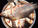狼王 漁具傳奇100米魚線耐磨主線子線拉力好甩竿拋桿海竿路亞磯釣?zāi)猃埦€臺(tái)釣魚線2號(hào)-10號(hào)線 尼龍線-3.5#0.310mm100M 曬單實(shí)拍圖