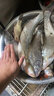 達億瓦（DAIWA）新款電動電絞輪海釣竿巨物鐵板慢搖快抽竿戶外船海釣魚竿十大品牌 1.91m J63B-4G 曬單實拍圖