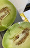 蔬農(nóng)聯(lián)玉菇甜瓜冰淇淋香瓜甜瓜當季新鮮水果 現(xiàn)摘現(xiàn)發(fā)禮盒 精選帶箱5斤禮盒裝 曬單實拍圖