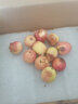 良知農(nóng)哥 【順豐】東北新鮮K9小沙果 海棠果花紅果 黃太平5斤大號40g+/個 曬單實拍圖