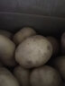 蜜鈺鮮貴州新鮮洋芋貴州土豆威寧農(nóng)家洋芋新土豆黃心洋芋馬鈴薯 10斤精選大果 曬單實(shí)拍圖