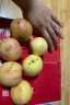 蜜语桃缘水果 新疆冰糖心苹果红富士丑苹果 新鲜时令水果礼盒 家庭实惠装精选果净重3斤纸箱装 实拍图