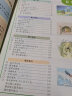 2022秋新版七彩课堂四年级语文人教版RJ上册 实拍图