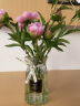 泰西丝 玻璃花瓶创意水培植物玻璃花瓶透明水养绿萝花盆容器插花瓶圆球形鱼缸器皿 18(折纸)透明+贴纸 中等 不含绿植 实拍图