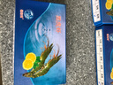 鮮拔頭籌 特大號黑虎蝦活凍500g大蝦斑節對蝦超大草蝦蝦仁 生鮮蝦類(lèi)年貨送 500g(凈重)  5只 曬單實(shí)拍圖
