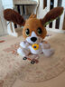 偉易達(dá)（Vtech）寶寶玩具玩偶網(wǎng)紅會(huì)說(shuō)話電動(dòng)毛絨公仔早教復(fù)讀玩偶寶寶生日禮物 學(xué)說(shuō)話的俏皮狗 80-610118 曬單實(shí)拍圖
