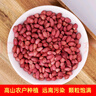 田園一丁新貨云南紅皮花生米5斤農(nóng)家紅衣花生紫紅皮小粒生花生米紅花無殼 紅皮花生 1斤 農(nóng)家自種 曬單實拍圖