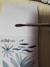 DA VINCI達(dá)芬奇水彩筆v35大師級長峰貂毛水彩畫筆套裝初學(xué)者美術(shù)專業(yè)拖把圓頭毛筆細(xì)節(jié)勾線筆DA VINCI 2號 曬單實(shí)拍圖