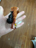 檀境印度小葉紫檀手把件 檀香紫檀高油密老料雕刻擺件文玩手把件 小葉紫檀葫蘆約高60mm底寬30mm 曬單實拍圖