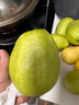 廣西白心芭樂(lè )番石榴2025年新鮮當季新鮮脆甜奶油巴樂(lè )白肉珍珠土芭 5斤裝【單果150g以上】 曬單實(shí)拍圖