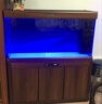 漢霸 超白玻璃魚(yú)缸生態(tài)底濾客廳大型家用智能金魚(yú)缸水族箱2025新款 柚木色 靠墻1.18米X52cm寬X160cm高 曬單實(shí)拍圖