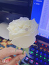 佐卡伊七夕 花神 白18k金鉆石戒指女真鉆六爪顯鉆款求婚結(jié)婚鉆 共約35分(30+5)F-G/SI 下單前指圈號(hào)請(qǐng)?jiān)斣兛头?曬單實(shí)拍圖