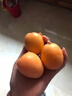 儲褚云南蒙自枇杷 孕婦新鮮枇杷果 大五星枇杷 當季水果順豐包郵 精選中果2斤【單果15-20g順豐】 曬單實(shí)拍圖