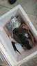 墨妍御鮮 千島湖大魚(yú)頭 胖頭魚(yú)花鰱魚(yú)鳙魚(yú) 剁椒魚(yú)頭 生鮮魚(yú)類(lèi)1.5kg-6kg 2.5kg 曬單實(shí)拍圖