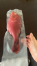 海南三沙西沙魚 青衣魚西星斑彩眉魚海鮮套餐雜魚組合裝五斤 10斤裝珊瑚魚組合（8-12條） 曬單實(shí)拍圖