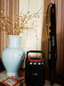 AKAI PROFESSIONAL全新進(jìn)口雅家5000電吹管樂(lè)器十大品牌SOLOC官方初學(xué)者專業(yè)雅佳 套餐2 5000黑色 曬單實(shí)拍圖