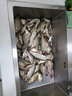 富源百川帝道漢鯽魚(yú)竿手桿超輕超細碳素臺釣竿鯉魚(yú)竿高碳輕量版鯽桿野釣竿 6.3m 漢鯽28調+竿稍 曬單實(shí)拍圖