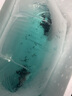 森悠（SARYOR）蝶尾金魚活體觀賞魚包金冷水魚苗 【五花蝶尾】6-7cm 曬單實拍圖