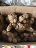 帆兒莊園小黃姜新鮮山區姜母生鮮新鮮蔬菜云南現挖整箱辛辣食用 1.5kg 曬單實(shí)拍圖