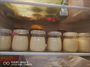 潤華年食品級果醬玻璃瓶子密封罐帶蓋小迷你小號攜帶透明圓形酸奶瓶布丁 大號 200mL 6件套 曬單實(shí)拍圖