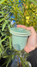 共禾京品（JINGREPUBLIC）中國風(fēng)青瓷竹節泡茶杯陶瓷馬克杯帶茶漏辦公室茶水分離杯生日禮物 青瓷竹節茶水分離杯-龍紋 曬單實(shí)拍圖