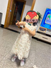 相思桐4-12歲女童連衣裙夏裝公主裙洋氣小女孩女寶寶童裝兒童裙子 杏色蕾絲款（偏小一碼） 110 尺碼建議身高103厘米 曬單實拍圖