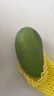 顏小葒廣西百色金煌芒青皮金煌芒新鮮芒果大臉芒熱帶應(yīng)季新鮮水果 4.5-5斤嚴(yán)選大果（單果約400g） 曬單實(shí)拍圖