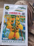 京研番茄種子黃色小番茄圣女果水果西紅柿種子管理簡單方便培育 京番黃星1號20粒1袋 曬單實拍圖