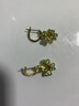 施華洛世奇（SWAROVSKI）IDYLLIA 幸運(yùn)四葉草耳釘耳環(huán)女送女朋友生日禮物女5670664 曬單實(shí)拍圖