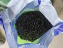 謙設塑料橡膠螺桿眼堵頭錐形建筑內外螺桿眼封堵穿墻線(xiàn)管墻塞子堵頭18實(shí)心堵4000個(gè) 曬單實(shí)拍圖