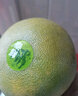 甜農人泰國青柚 新鮮水果 進(jìn)口 青皮柚子 白心蜜柚 當季時(shí)令 安帕瓦 單果（1.6-2斤） 2個(gè)裝 曬單實(shí)拍圖