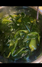 溢源海帶苗鹽漬海帶嫩芽有機海藻菜新鮮非干貨涼拌食材商用霞浦特產(chǎn) 小苗（5斤裝*1包） 曬單實拍圖