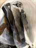 【京東冷鏈】多寶魚(yú)鮮活速凍特大比目魚(yú)新鮮大菱鲆冷凍鴉片魚(yú)整條 小號1條裝 350g 曬單實(shí)拍圖
